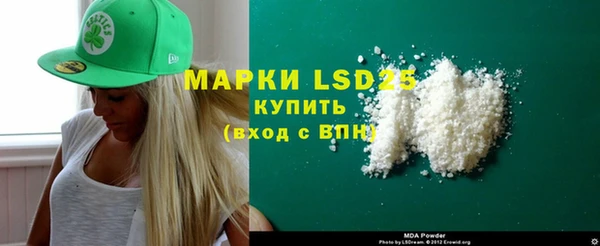 дмт Богданович