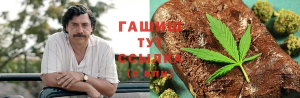 ГАЛЛЮЦИНОГЕННЫЕ ГРИБЫ Белокуриха