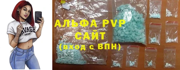 дмт Богданович