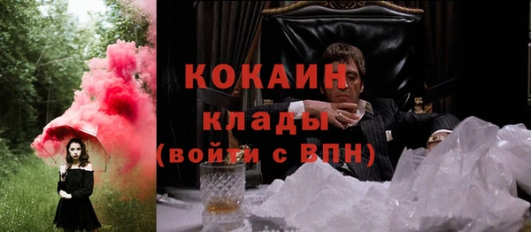 ГАЛЛЮЦИНОГЕННЫЕ ГРИБЫ Белокуриха