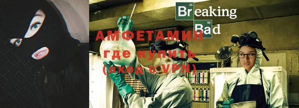 дмт Богданович